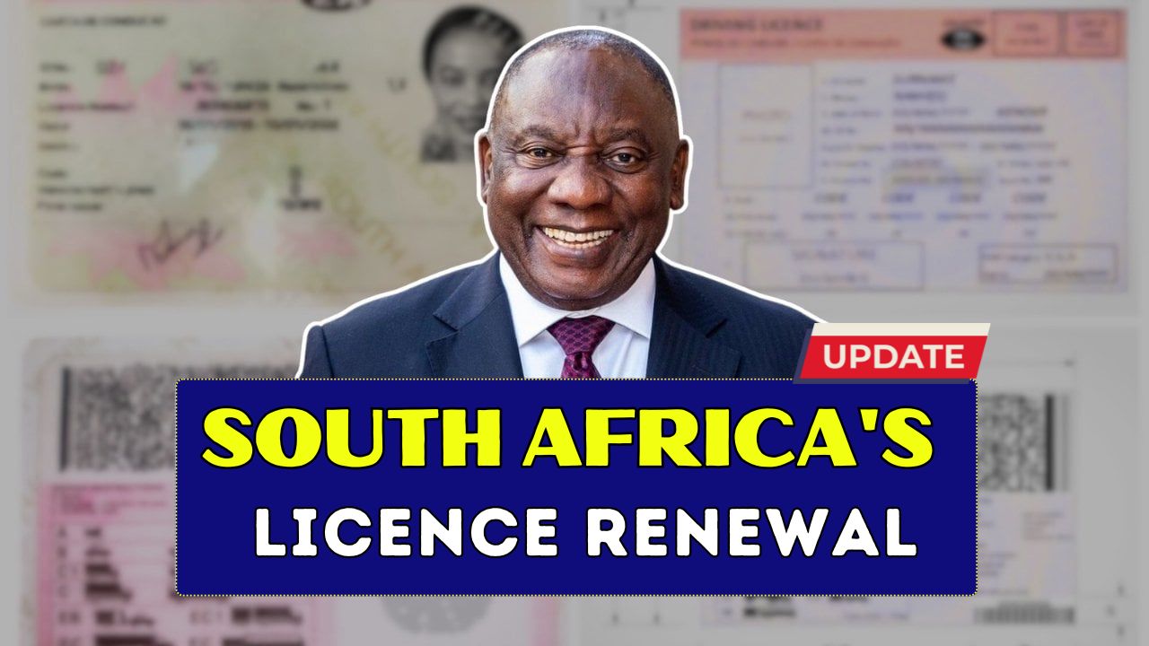 South Africas Licence Renewal